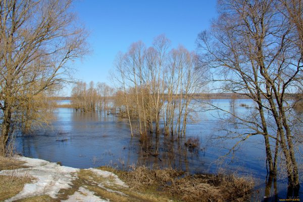 Весенний разлив реки