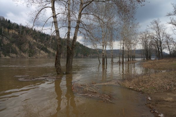 Поволжье разлив реки