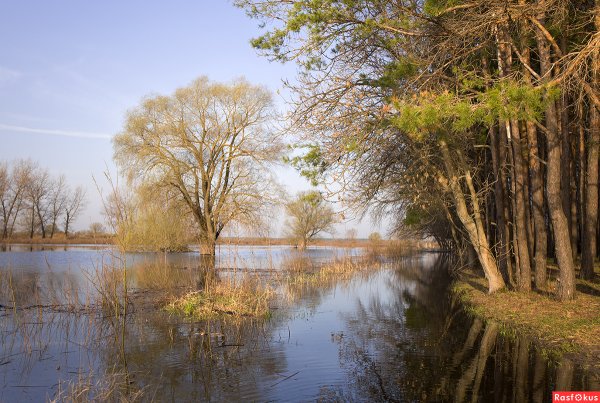 Река Хопер весной