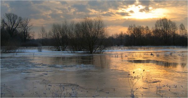 Весенний разлив вод