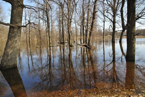 Костромская область Весна половодье