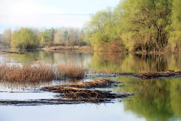 Половодье реки Волга