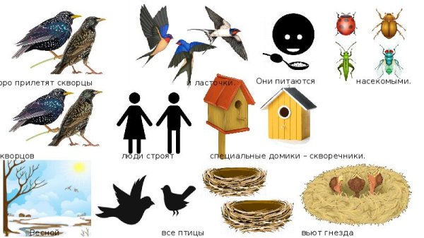 Домик птиц для дошкольника