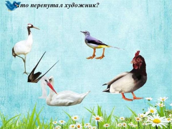 Дидактическая игра птицы