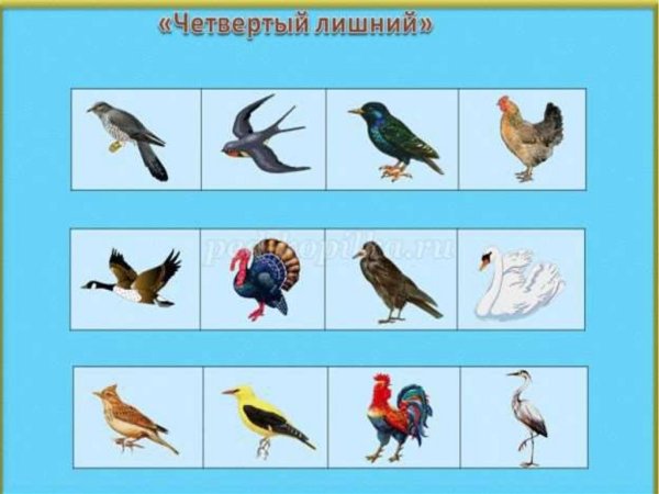 Перелетные птицы подготовительная группа