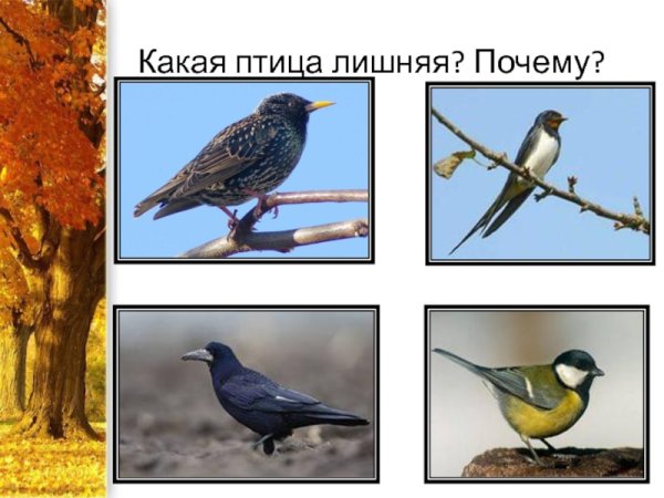 Пальчиковая гимнастика перелетные птицы