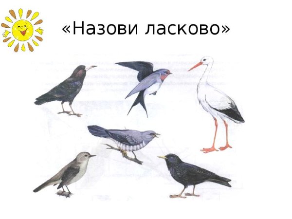 Перелетные птицы