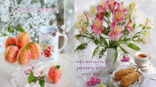 Прекрасного весеннего утра и хорошего