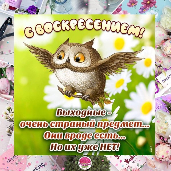 Доброго воскресного дня