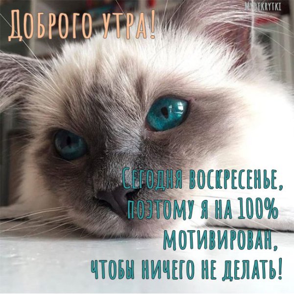 Доброе утро воскресенье Весна