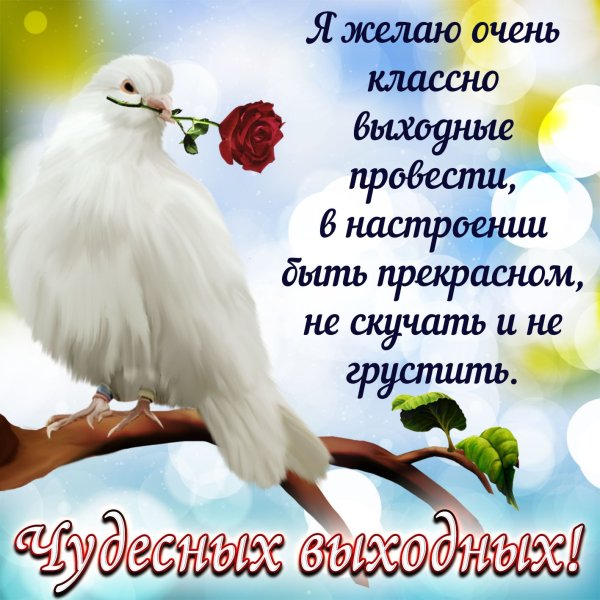 Открытки Веселые и добрые