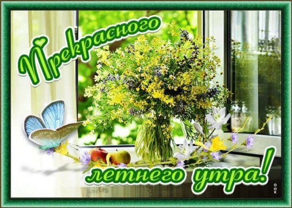 Доброе утро Яблоневый цвет