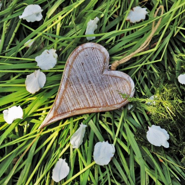 Сердечки в природе Весна