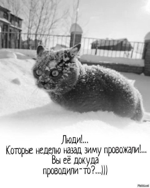 Снег в апреле приколы