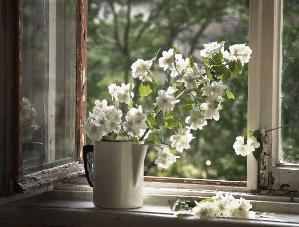 Весенние цветы на подоконнике