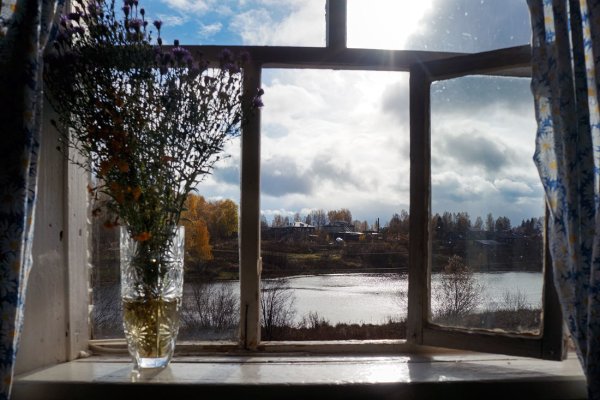 Вид за окном