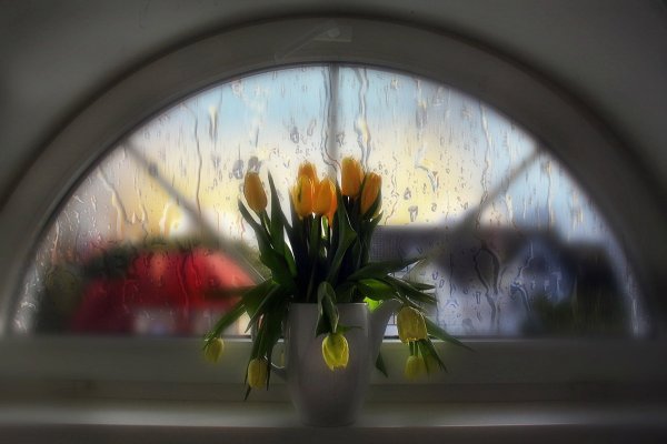 Весна через окно