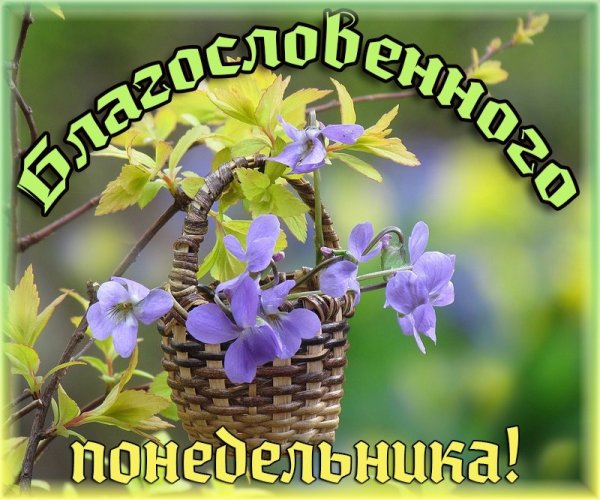 Весеннее утро понедельника