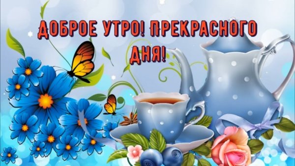 Алиса Найди пожалуйста открытки понедельника доброе утро