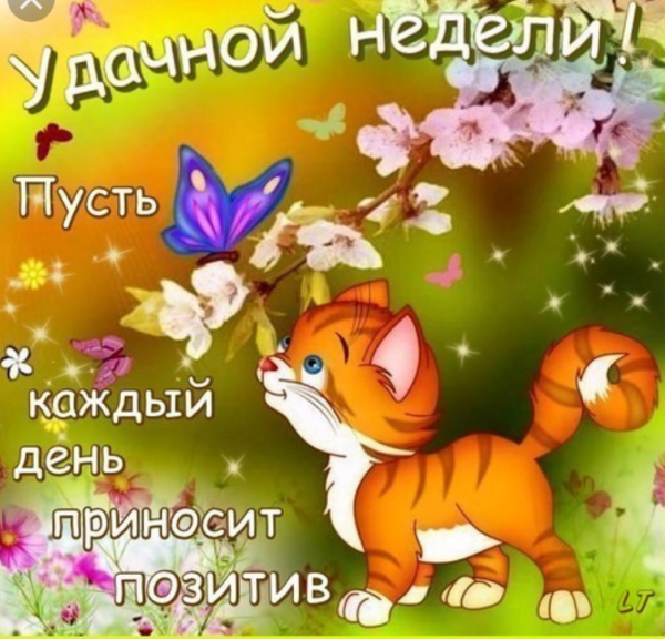 Позитивные открытки на каждый день