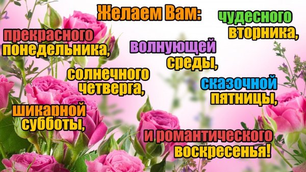 Хорошего вторника и удачной недели