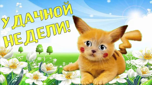 Удачной трудовой недели и хорошего настроения