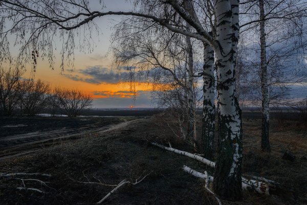 Апрель пейзаж