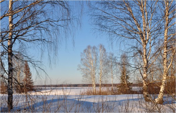 Февраль-март природа