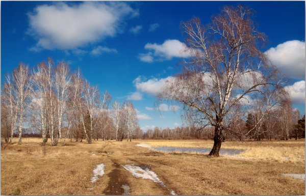 Весна пришла весне дорогу