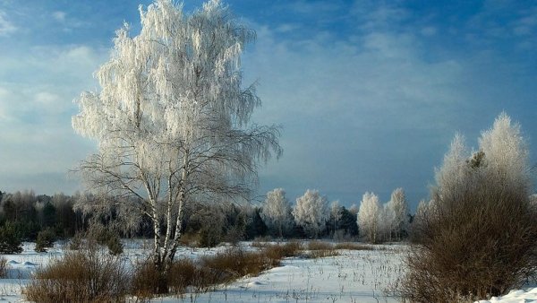 Зимнее мартовское утро