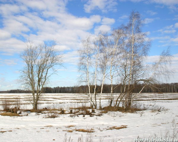 Природа ранней весной