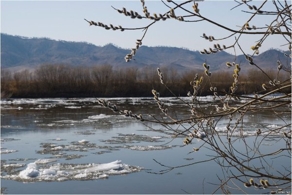 Сибирь весной
