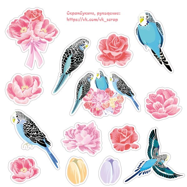 Цветы на прозрачном фоне