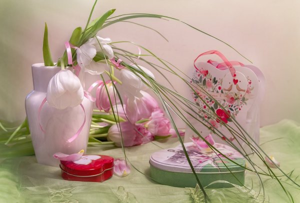 С днем рождения нежность