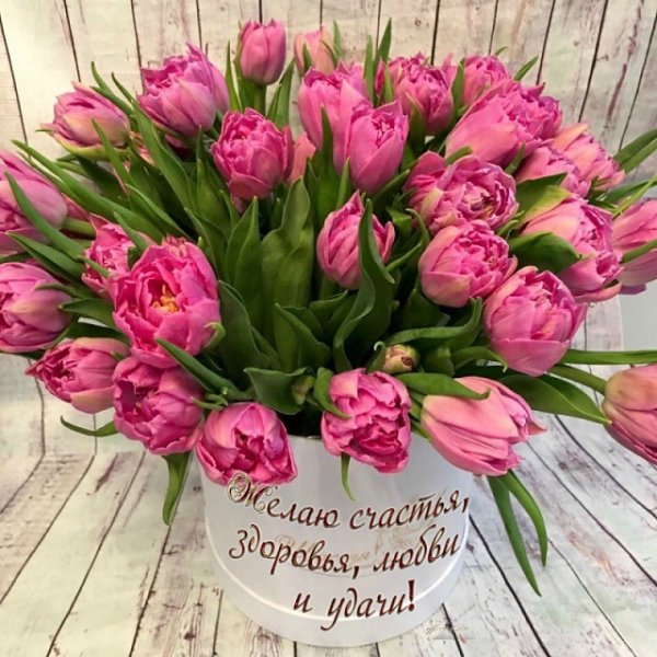 С днём рождениятюльпаны