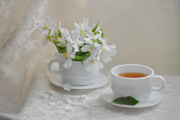 Чашка Весна