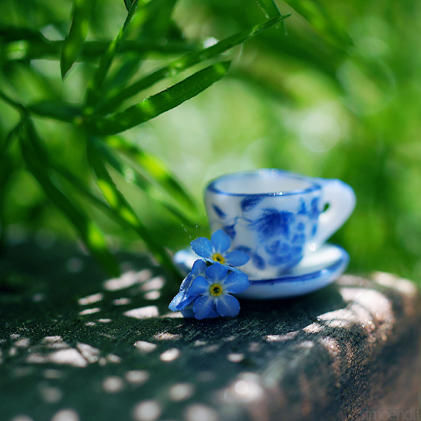 Голубая чашка с чаем