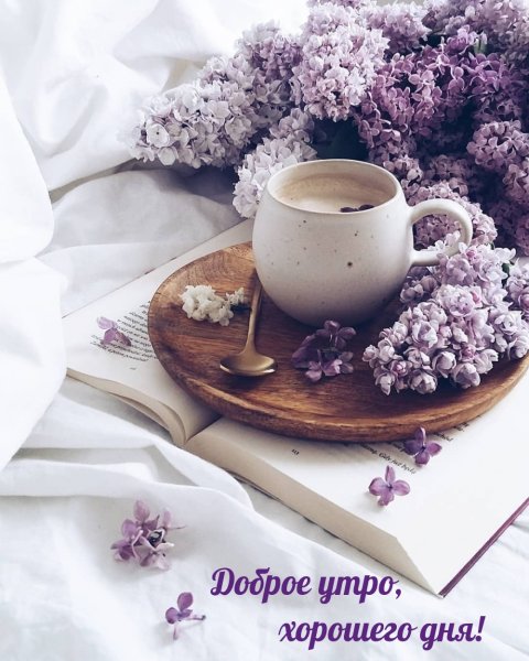 Волшебное утро