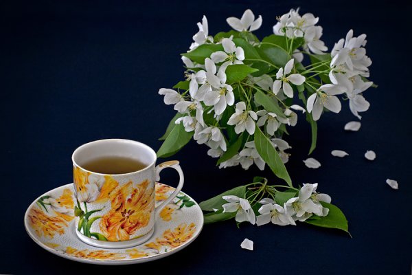 Подснежники и чай