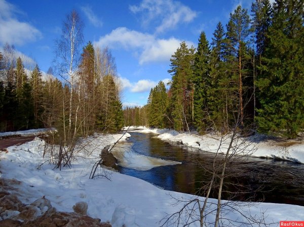 Видлица Карелия природа