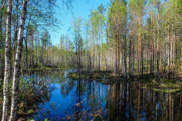 Карелия ранней весной