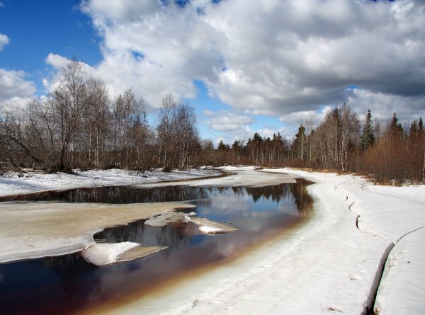 Природа Карелии в апреле
