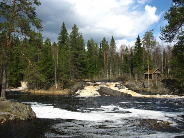 Карелия лес весной