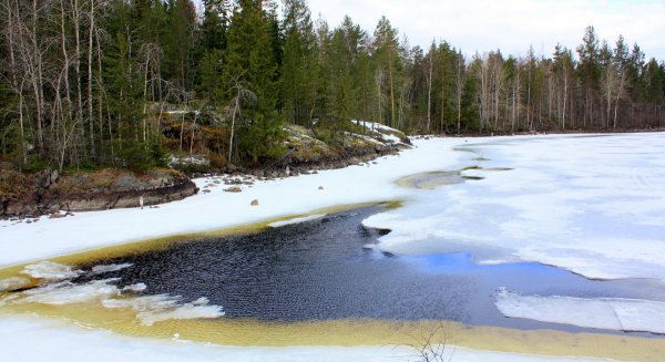 Природа Карелии в апреле