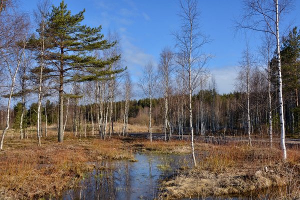 Весна в Карелии
