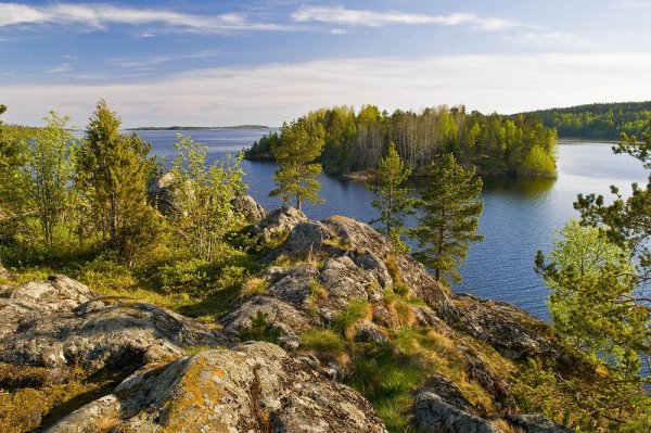 Карелия Корела лето