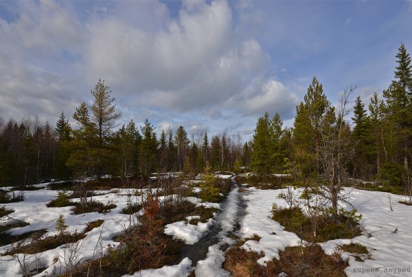 Природа Карелии в апреле