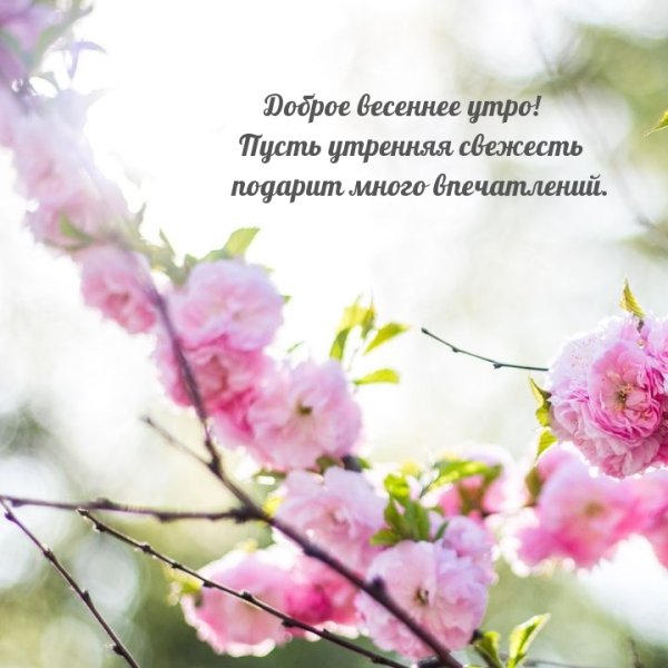 Доброе Весеннее утро