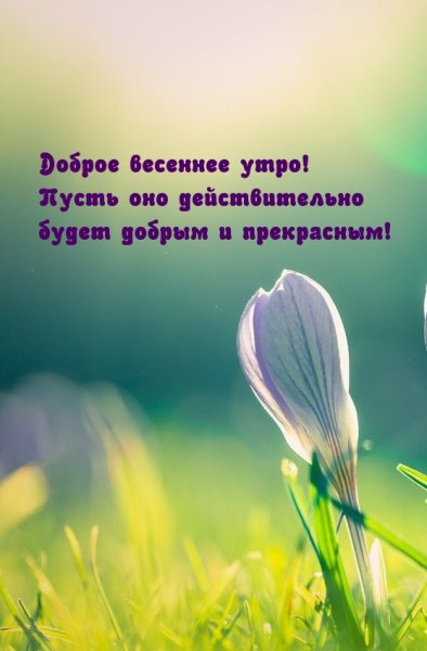 Весеннего утра и настроения