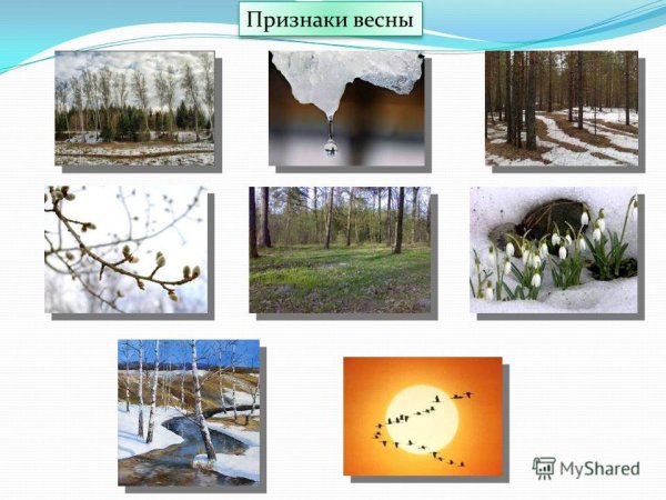 Весенние признаки